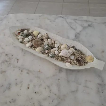 شقة Angela's House زادار